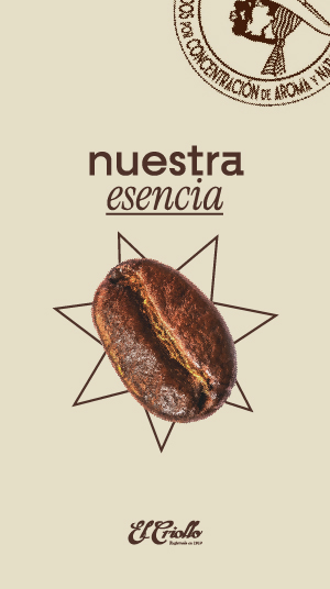 Seo para cafés el criollo