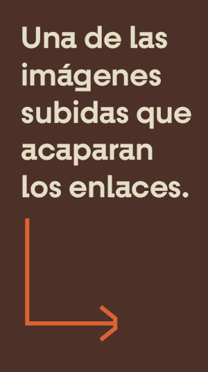 Trabajo de Seo para webs
