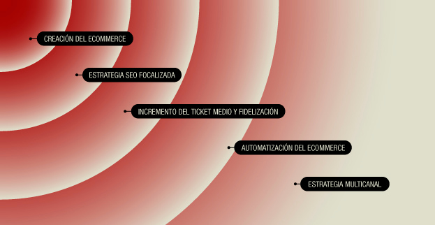 Fases y estrategias para carniceria victor salvo
