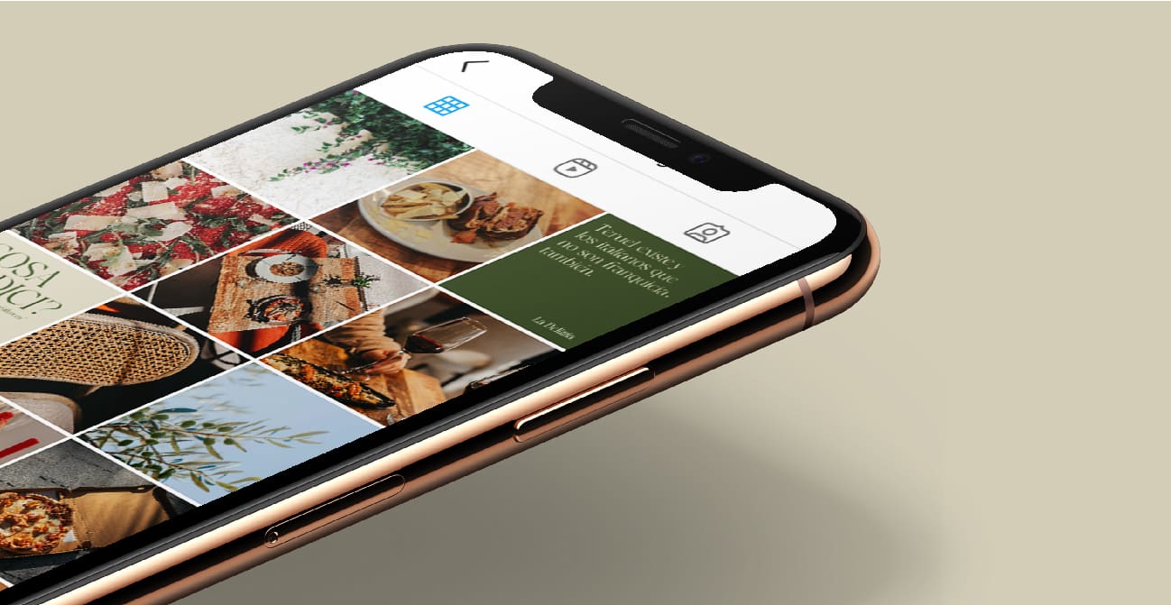 Redes sociales gestionadas por Birdcom