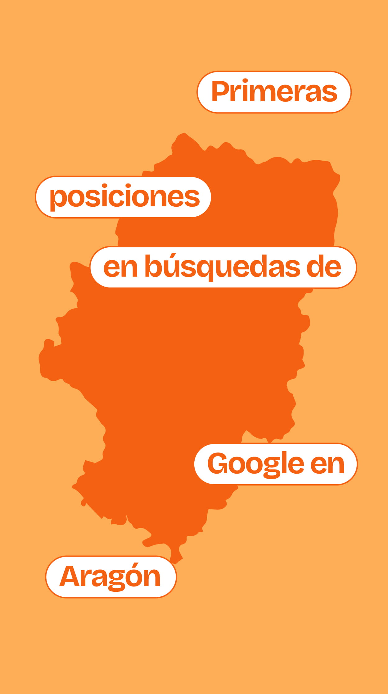 posicionamiento en aragon realizado por Birdcom para Irtesc