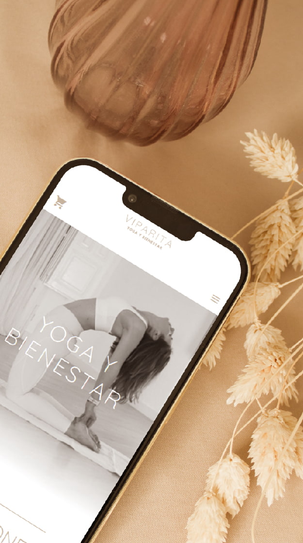 Diseño web responsive realizado por Birdcom