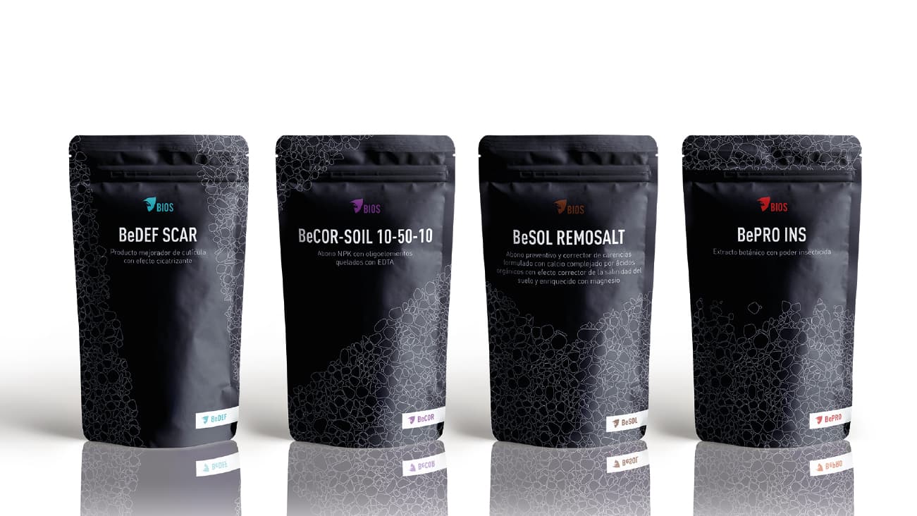 Servicios de Diseño Gráfico - Packagin