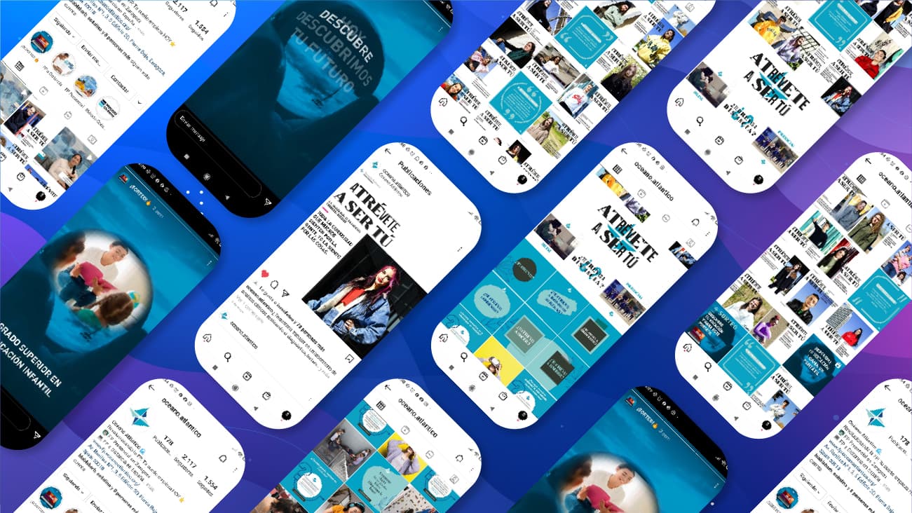 Servicios de Social Media - Feed